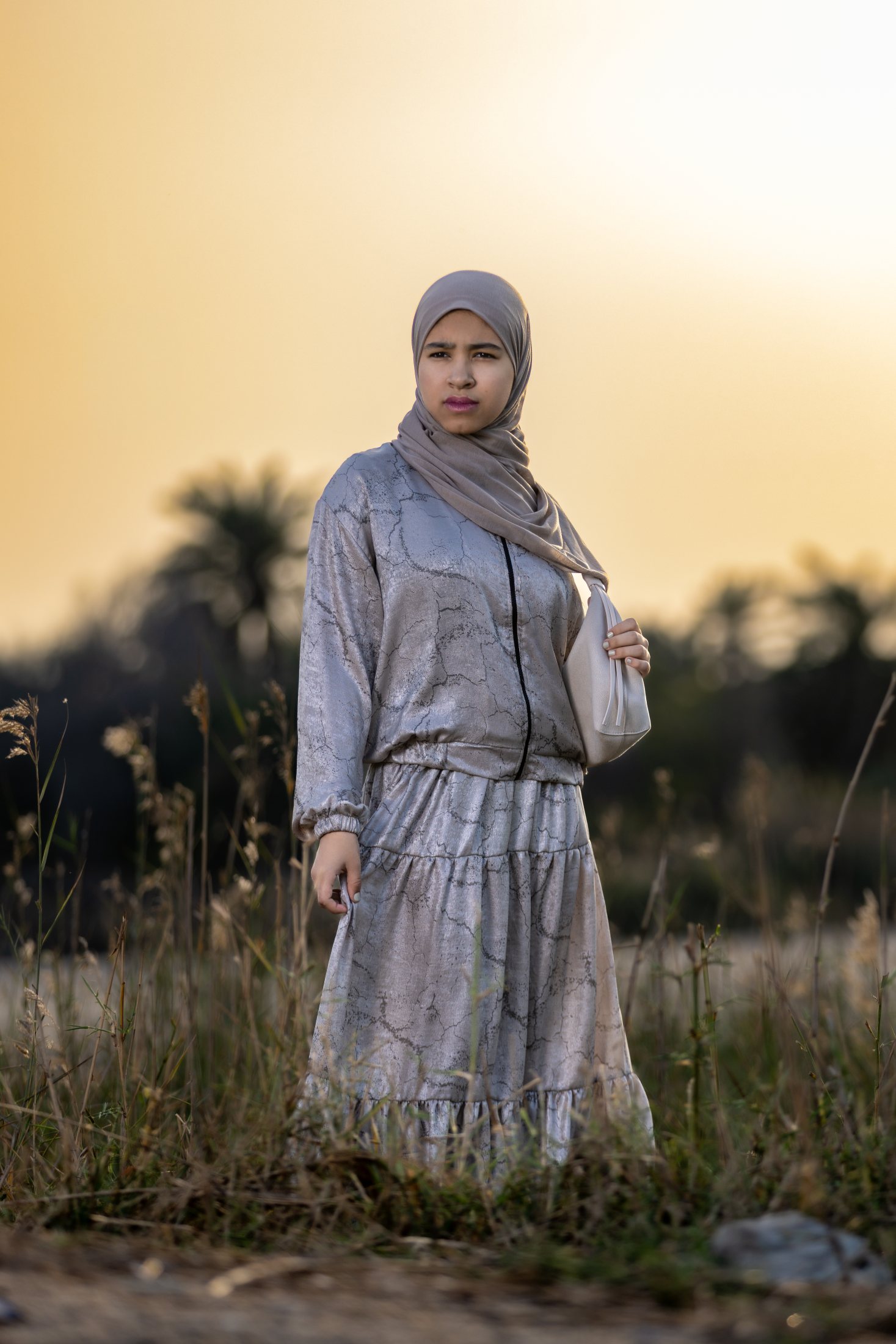قصة تصوير الحقل الفضي